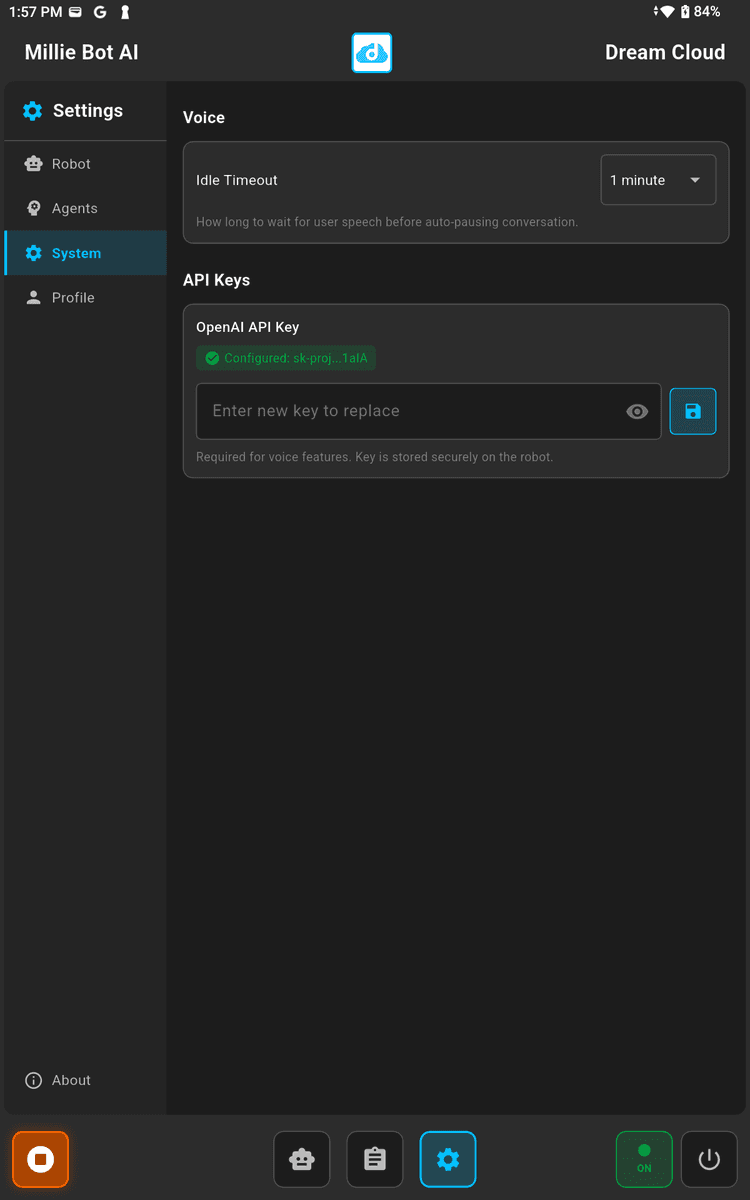 System settings with API keys and camera options