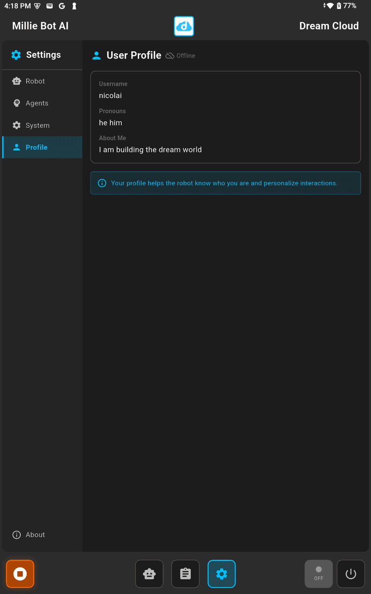 Profile settings with username, pronouns, and bio